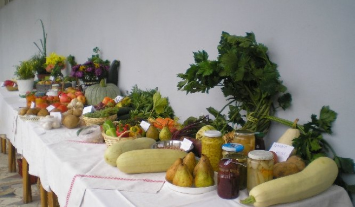 Výstava zeleniny 