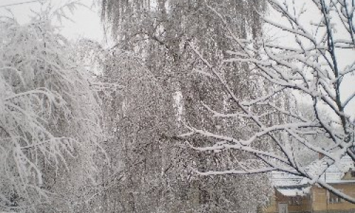 Maglód 2016. február 13,14.