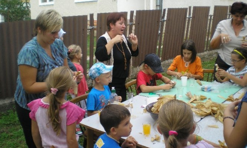 Falunap 2016 Június 24,25
