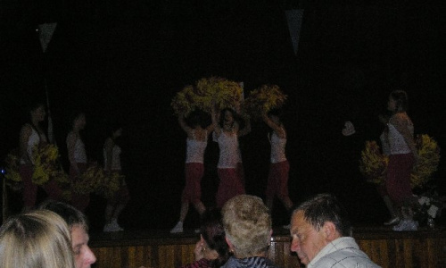 Falunap 2016 Június 24,25