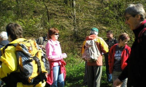 Falunap 2016 Június 24,25