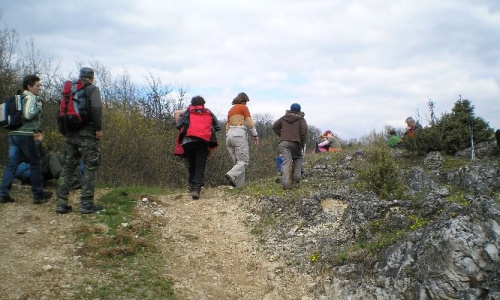 Falunap 2016 Június 24,25