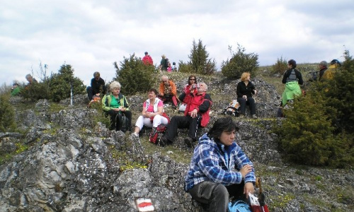 Falunap 2016 Június 24,25