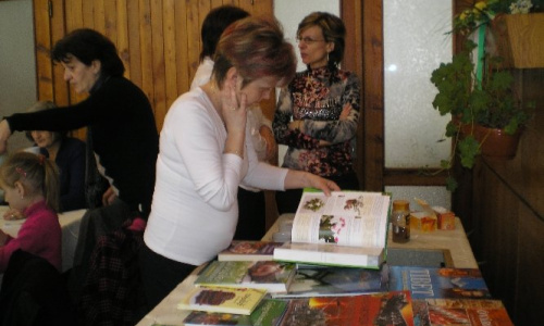 Falunap 2016 Június 24,25