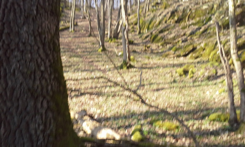 Mikulás és karácsony