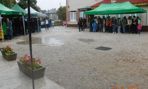 Anyák napja 2019
