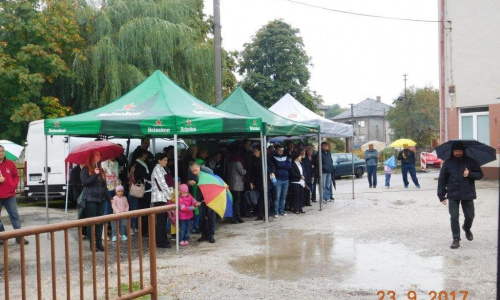 Anyák napja 2019