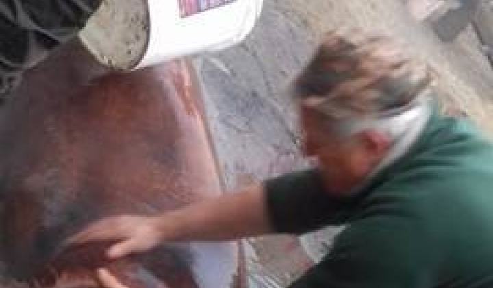 Kárpát mednecei találkozó