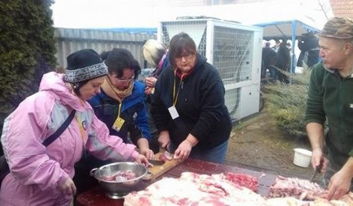 Kárpát mednecei találkozó