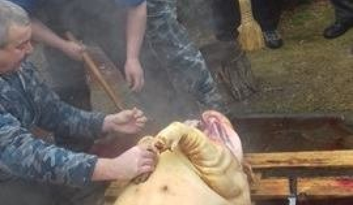Kárpát mednecei találkozó