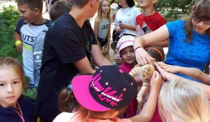 Gyülekezeti tábor 17-19.7.2019