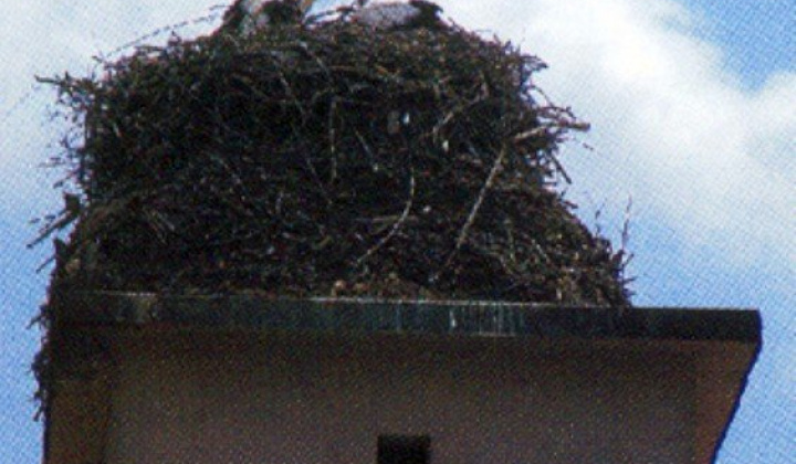 Súčasnosť